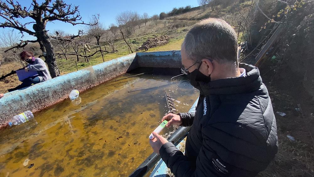Wie die Wasserverschmutzung durch Nitrat Menschen und Ökosysteme in Spanien bedroht