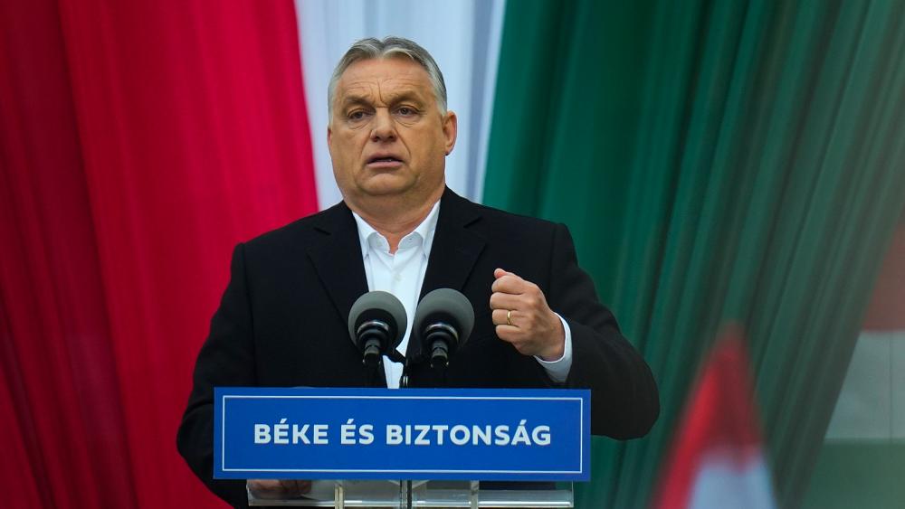 Nehmen Sie das ungarische Wahlergebnis mit Vorsicht, warnt Experte