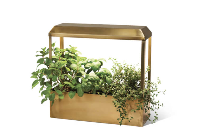 Modern Sprout Smart Growhouse, goop, $239