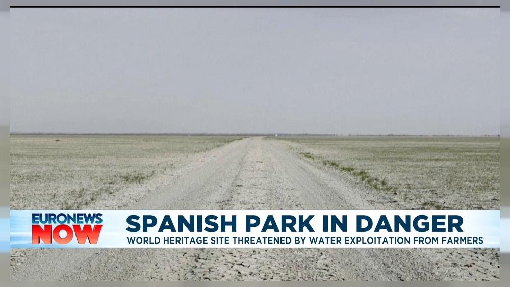 Der Doñana-Nationalpark in Spanien ist bedroht, da das Grundwasser weiter gepumpt wird