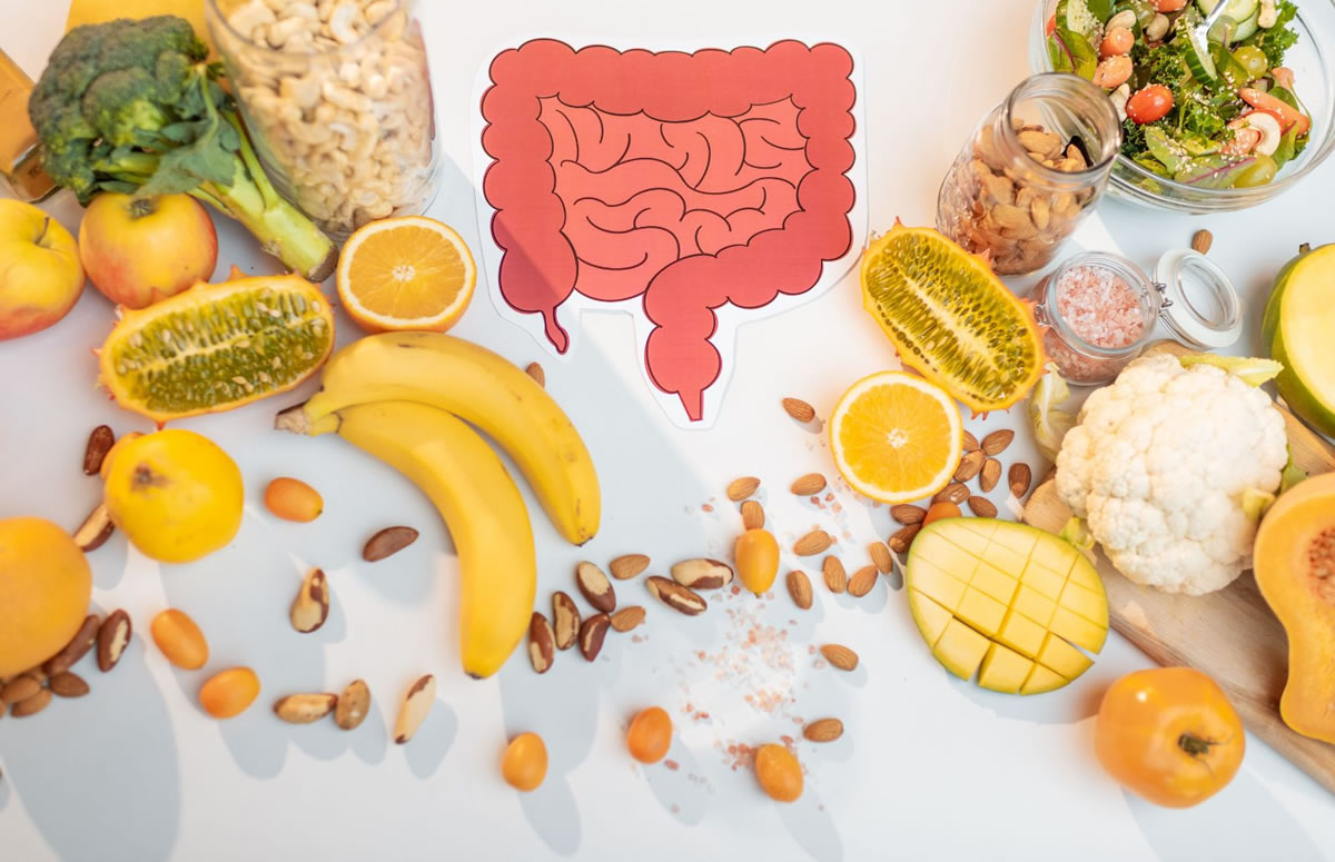 A diagram of the digestive system with gut friendly foods.