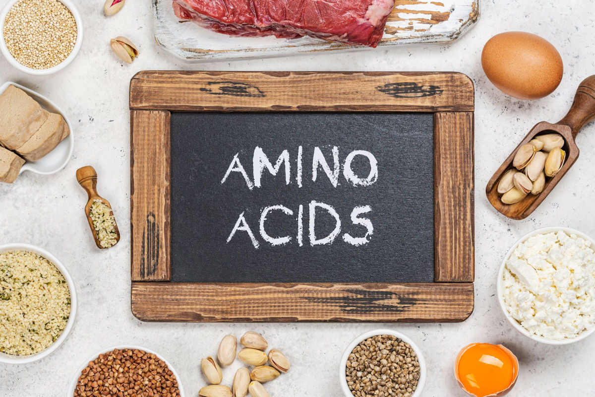 A selection of lean protein sources on a table including beef, eggs, cottage cheese, legumes, and more with a sign that says "amino acids"