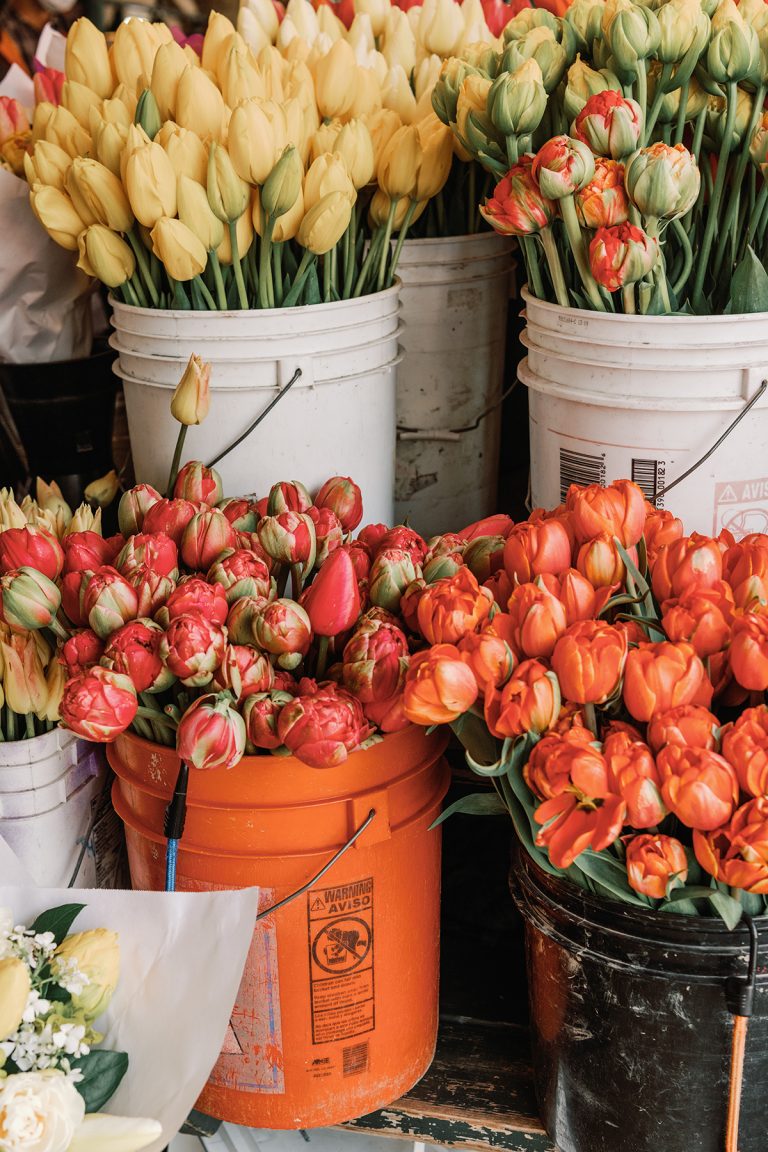 Tulpen im Eimermarkt