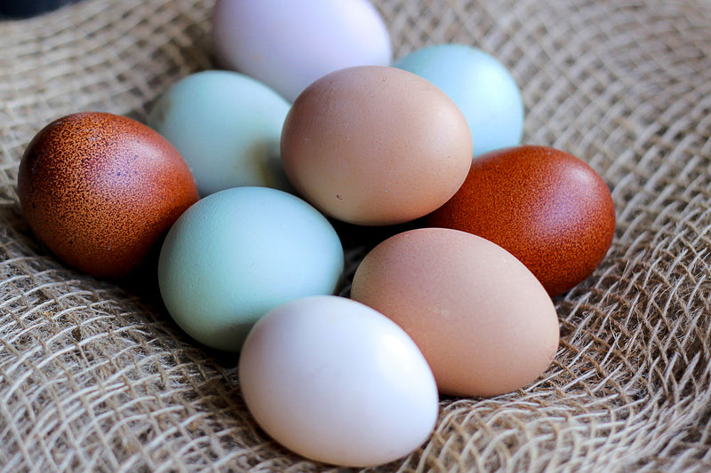 Ein Haufen Eier und Eier in einem Korb - bunter Haufen frischer Bio-Eier in Sackleinen